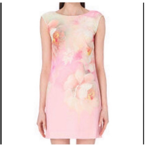 Ted Baker Damona Rose On Canvas Sleeveless Pink Floral Mini Dress - Picture 2 of 12